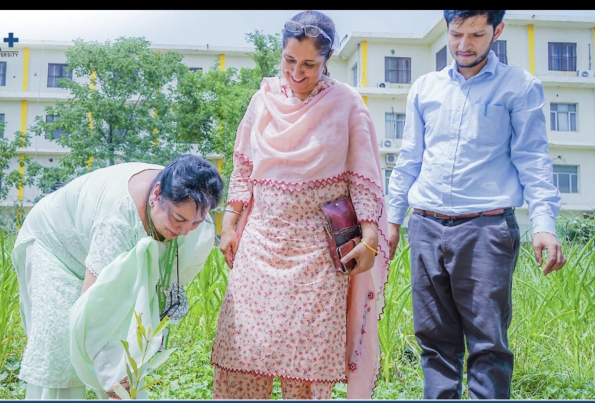 Desh Bhagat University organized a national webinar on World Environment Day